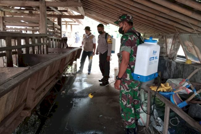 Upaya Penanggulangan Penyebaran Virus PMK di wilayah Kecamatan Kemalang