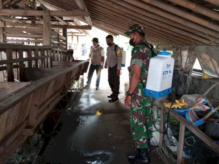 Upaya Penanggulangan Penyebaran Virus PMK di wilayah Kecamatan Kemalang